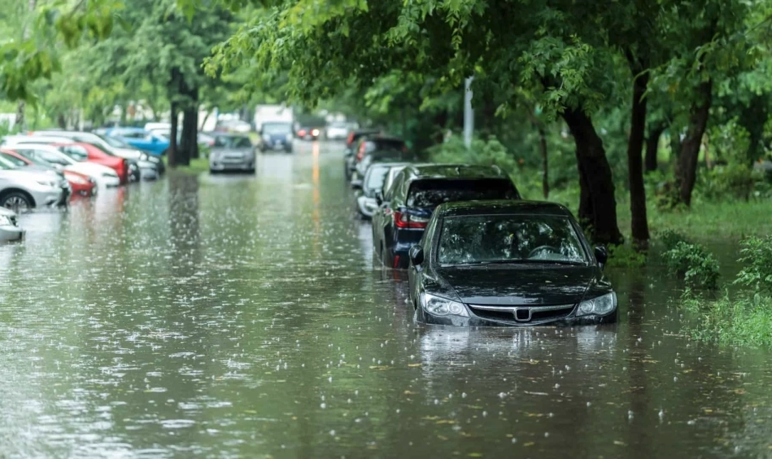 Flood Damage and Recovery: Navigating the Road to Restoration main image