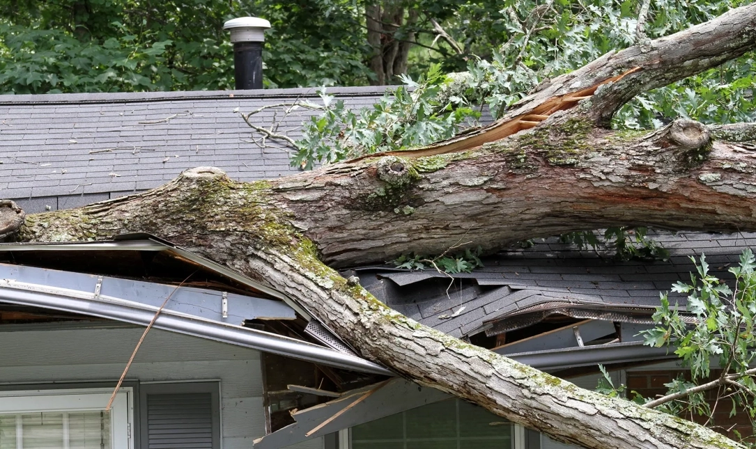 Wind Storm Woes: How to Handle Property Damage Like a Pro main image